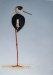 Black Winged Stilt