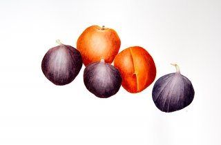 Peaches and Figs