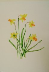 Springtime